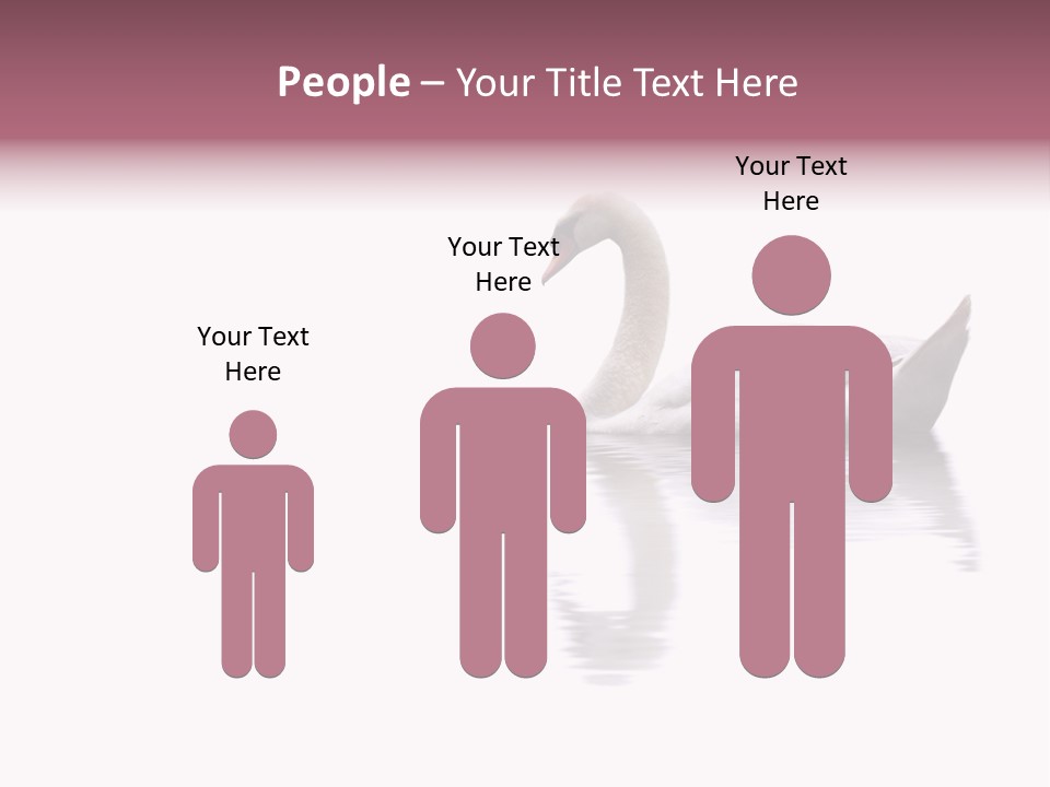 Pristine Beautiful Fidelity PowerPoint Template