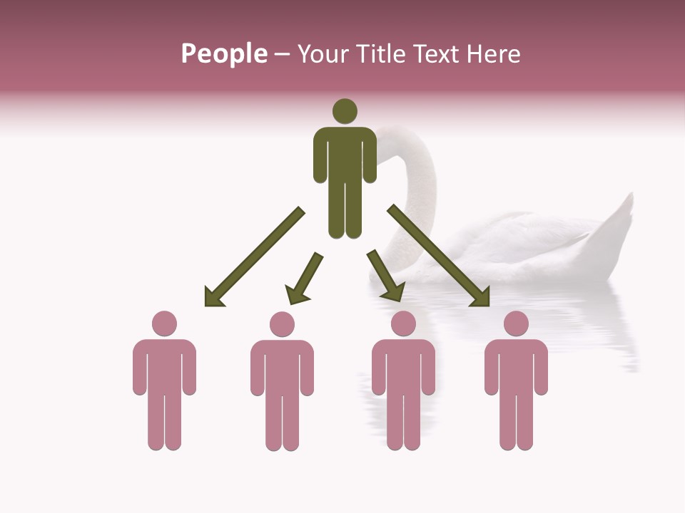 Pristine Beautiful Fidelity PowerPoint Template