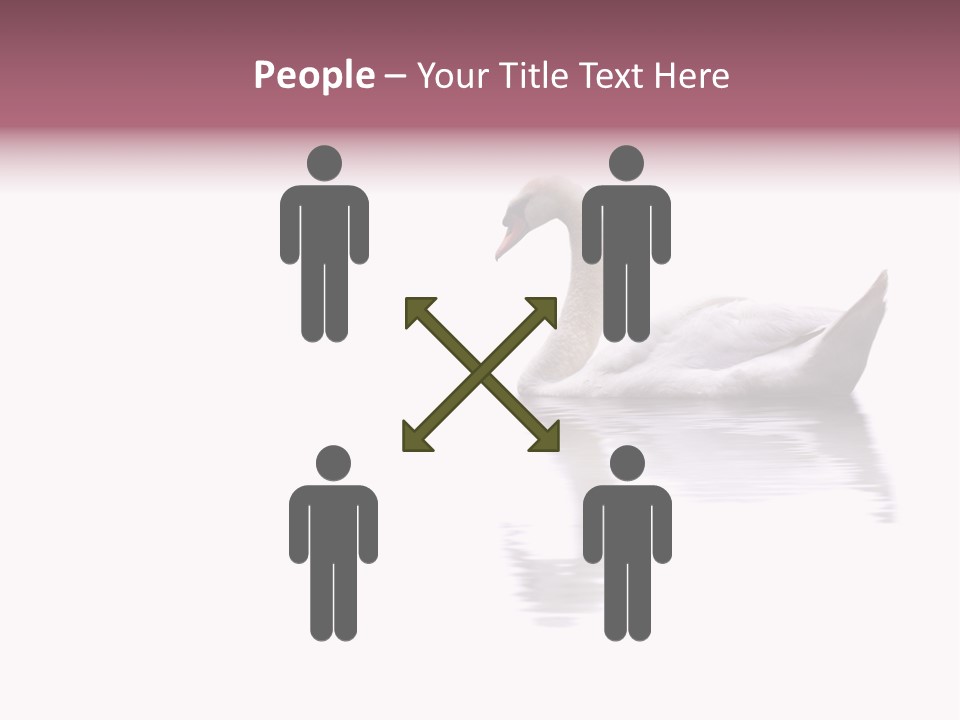 Pristine Beautiful Fidelity PowerPoint Template