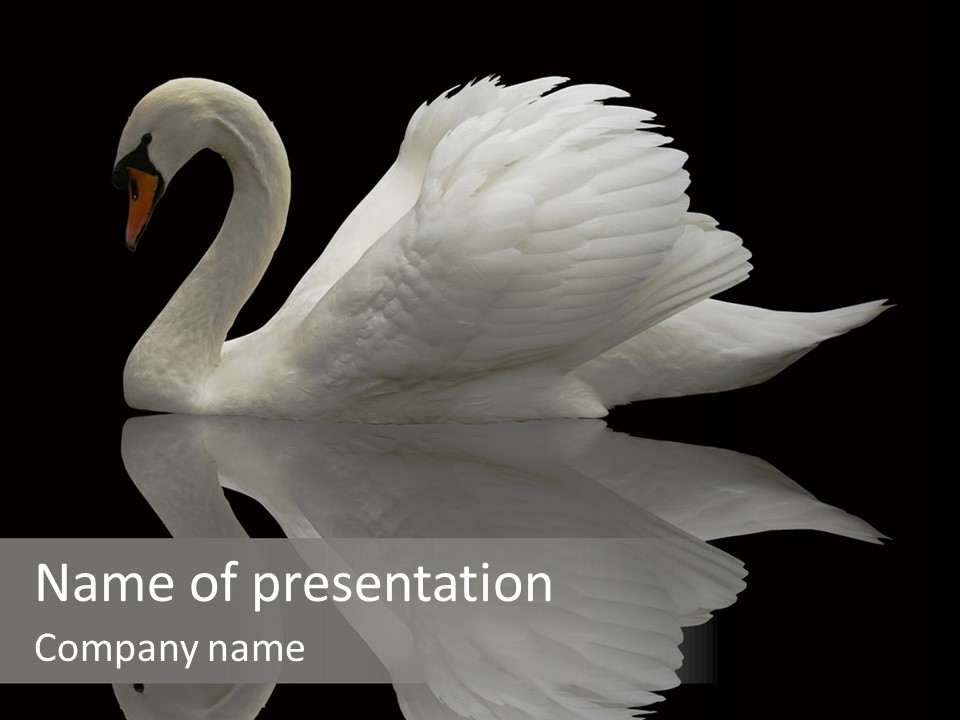 Nature Wildlife Aquatic PowerPoint Template