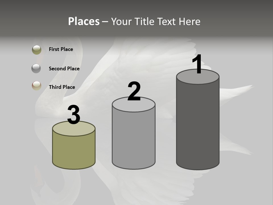 Nature Wildlife Aquatic PowerPoint Template