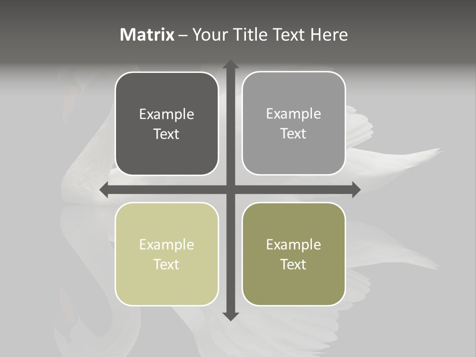 Nature Wildlife Aquatic PowerPoint Template