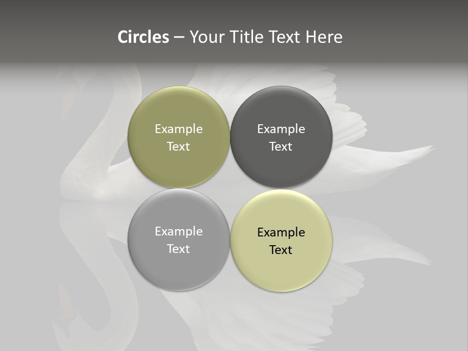 Nature Wildlife Aquatic PowerPoint Template