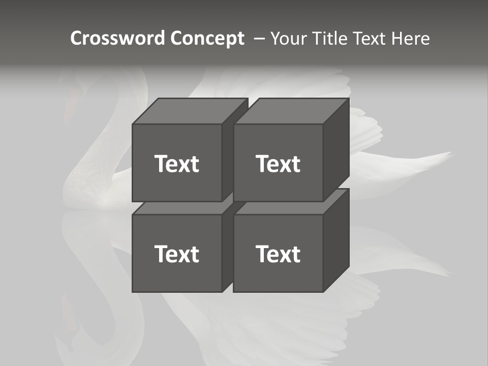 Nature Wildlife Aquatic PowerPoint Template