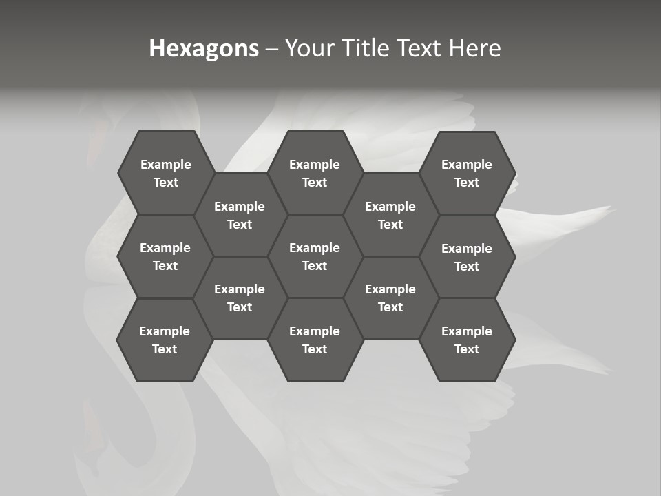 Nature Wildlife Aquatic PowerPoint Template