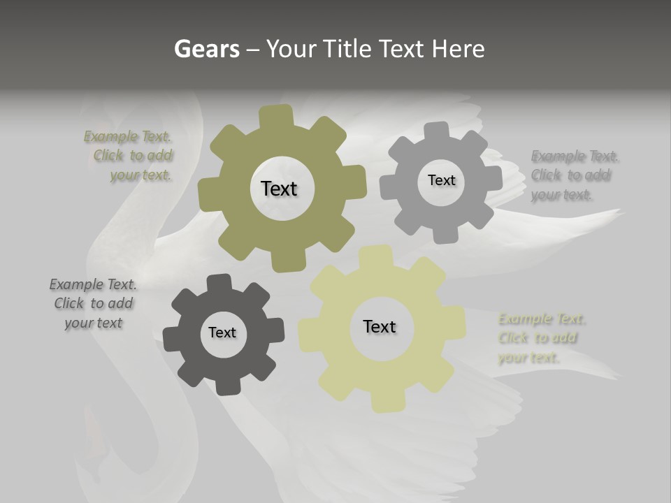 Nature Wildlife Aquatic PowerPoint Template