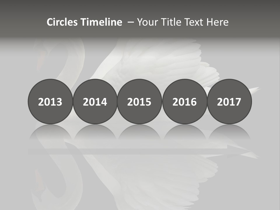 Nature Wildlife Aquatic PowerPoint Template