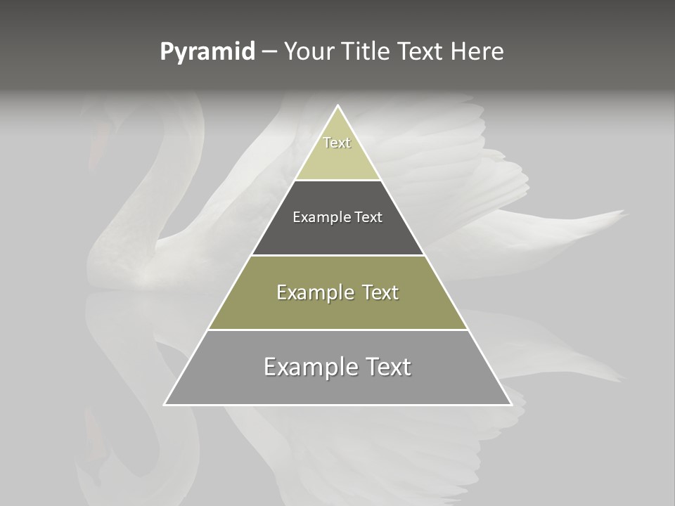 Nature Wildlife Aquatic PowerPoint Template