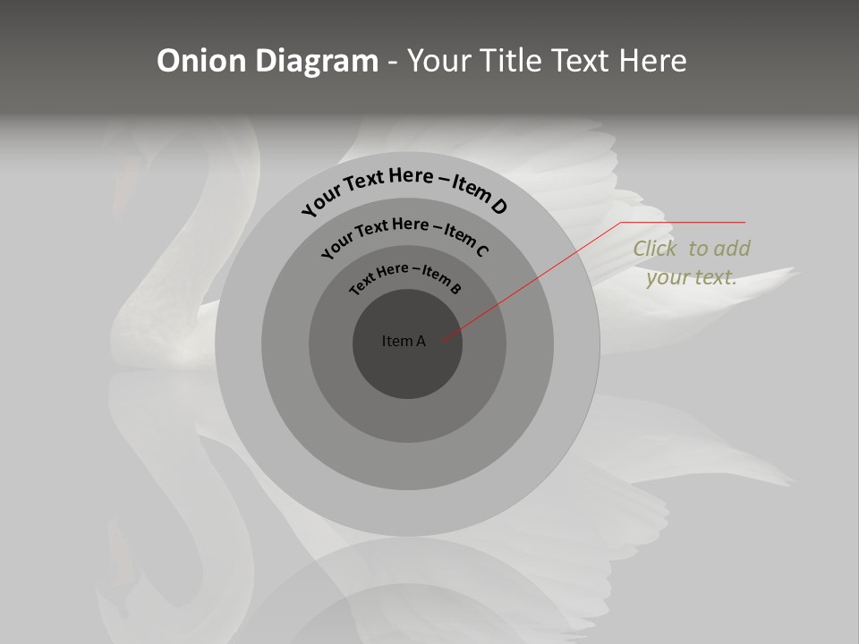 Nature Wildlife Aquatic PowerPoint Template