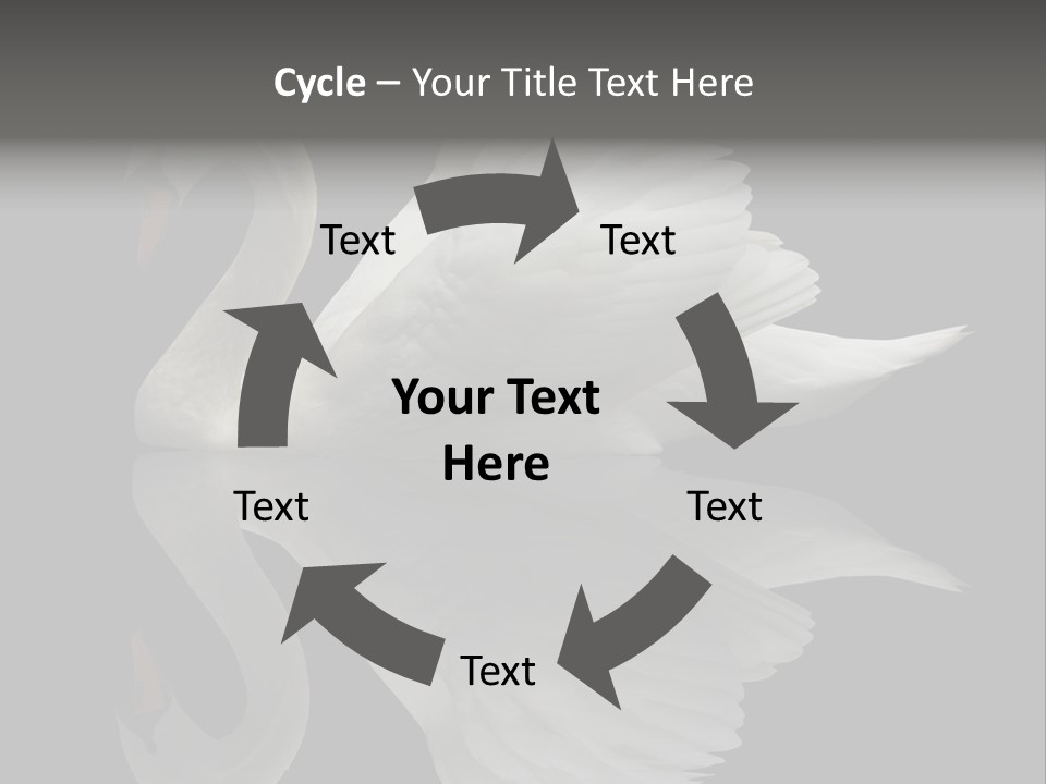 Nature Wildlife Aquatic PowerPoint Template