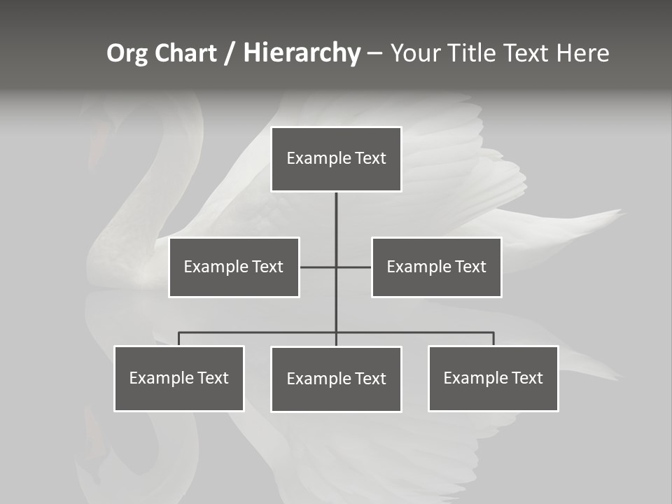 Nature Wildlife Aquatic PowerPoint Template