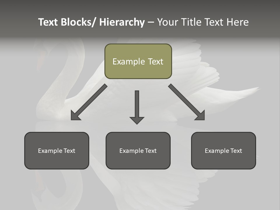 Nature Wildlife Aquatic PowerPoint Template