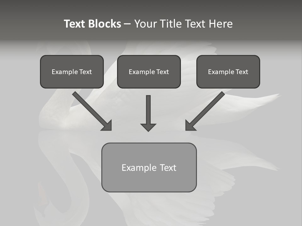 Nature Wildlife Aquatic PowerPoint Template
