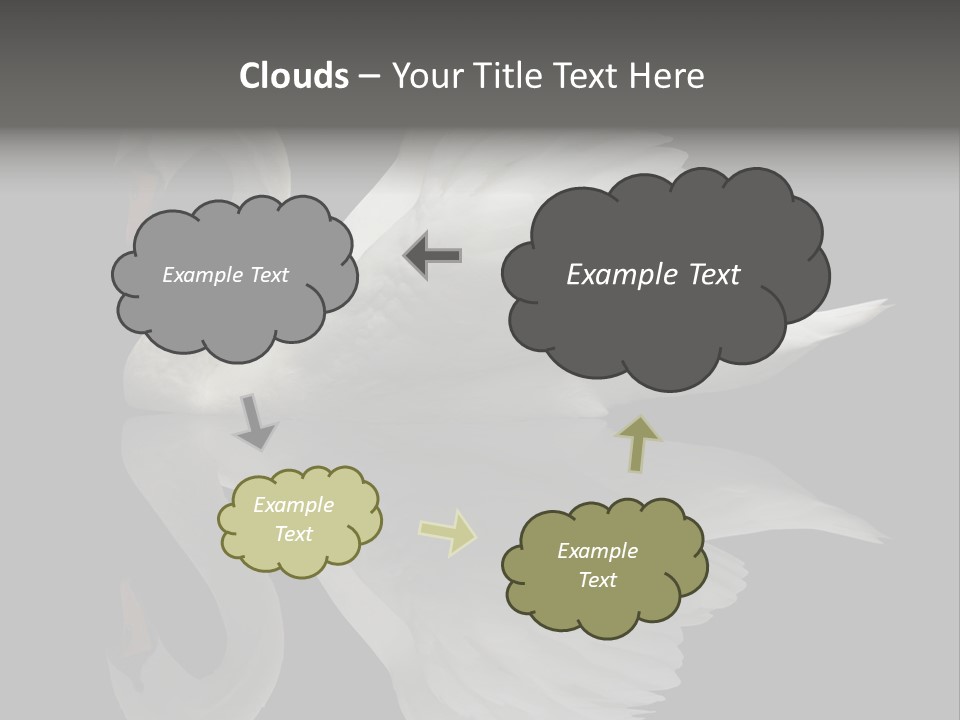 Nature Wildlife Aquatic PowerPoint Template