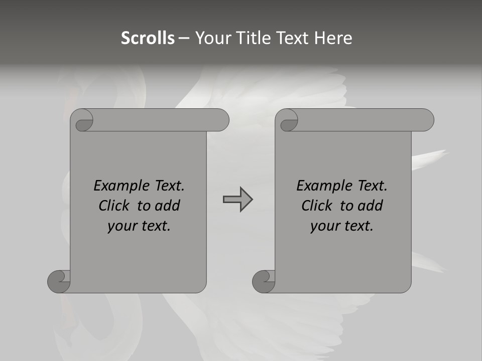 Nature Wildlife Aquatic PowerPoint Template