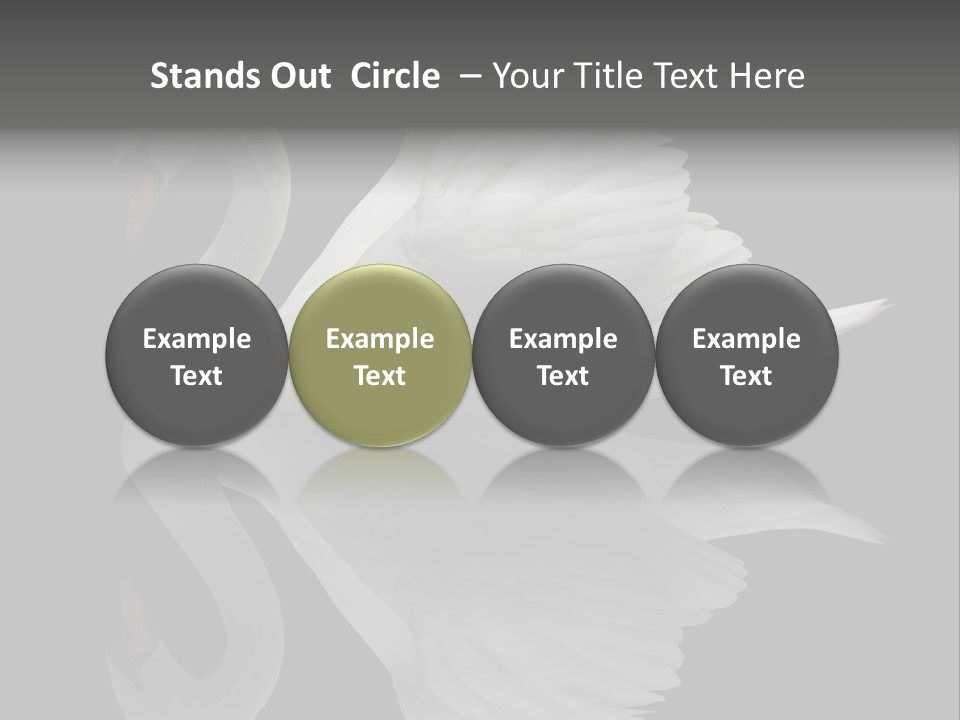 Nature Wildlife Aquatic PowerPoint Template