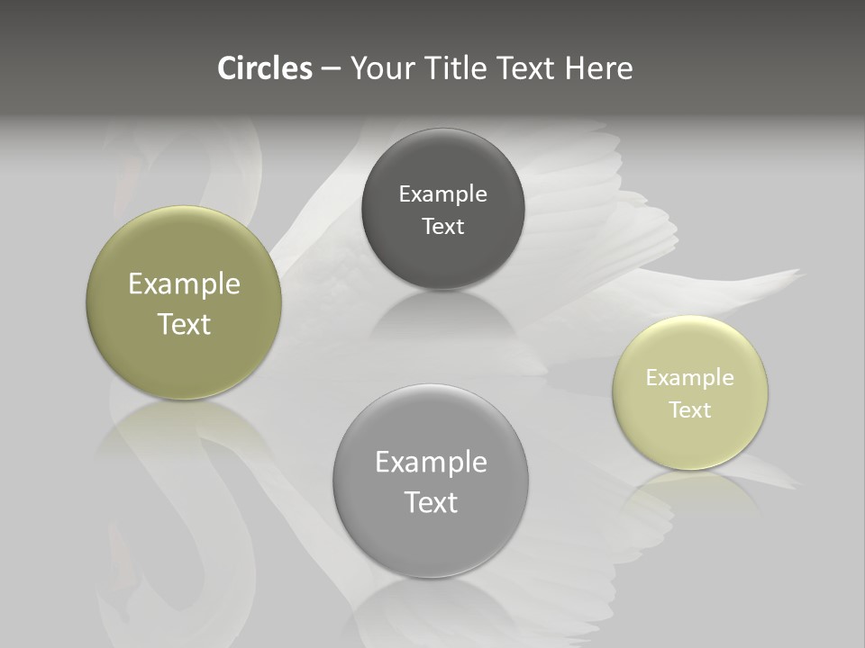 Nature Wildlife Aquatic PowerPoint Template