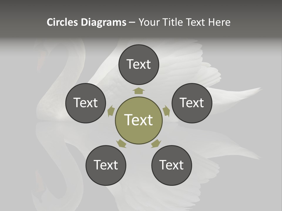 Nature Wildlife Aquatic PowerPoint Template