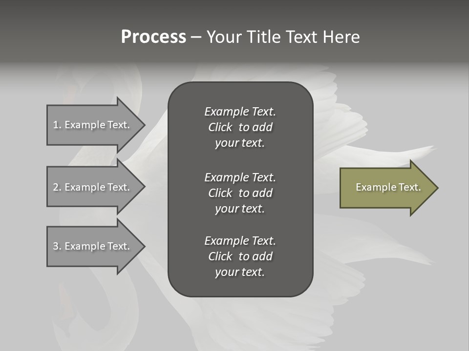 Nature Wildlife Aquatic PowerPoint Template