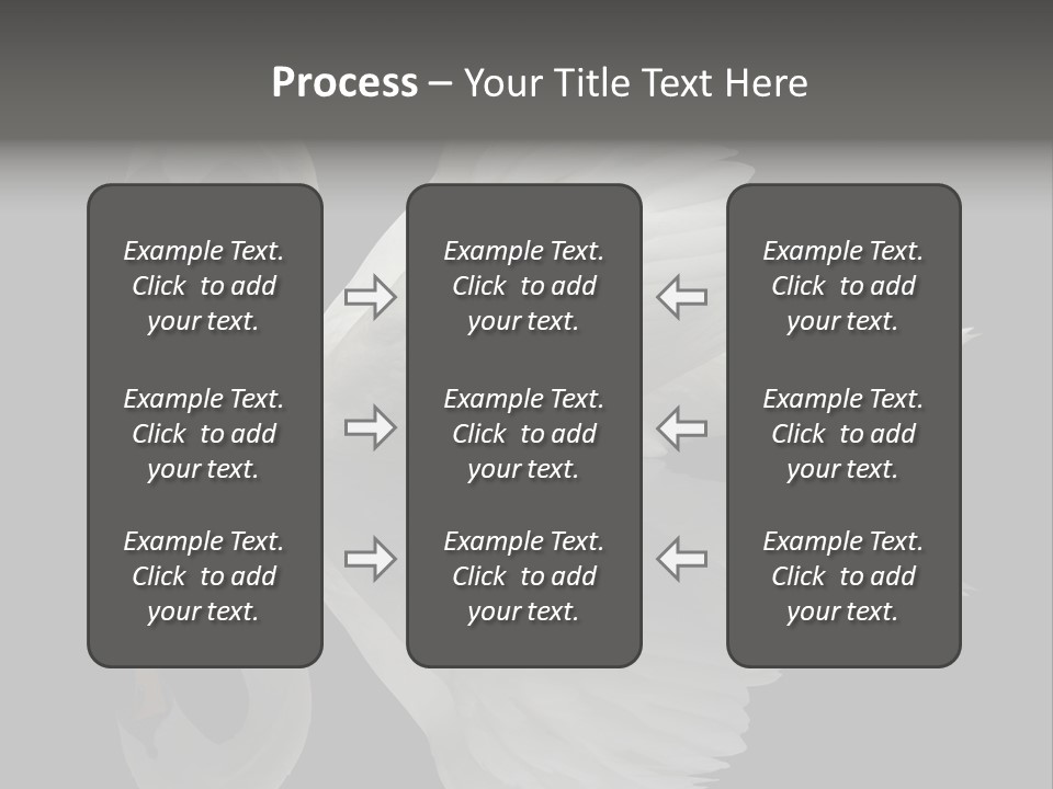 Nature Wildlife Aquatic PowerPoint Template