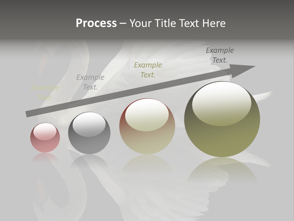 Nature Wildlife Aquatic PowerPoint Template