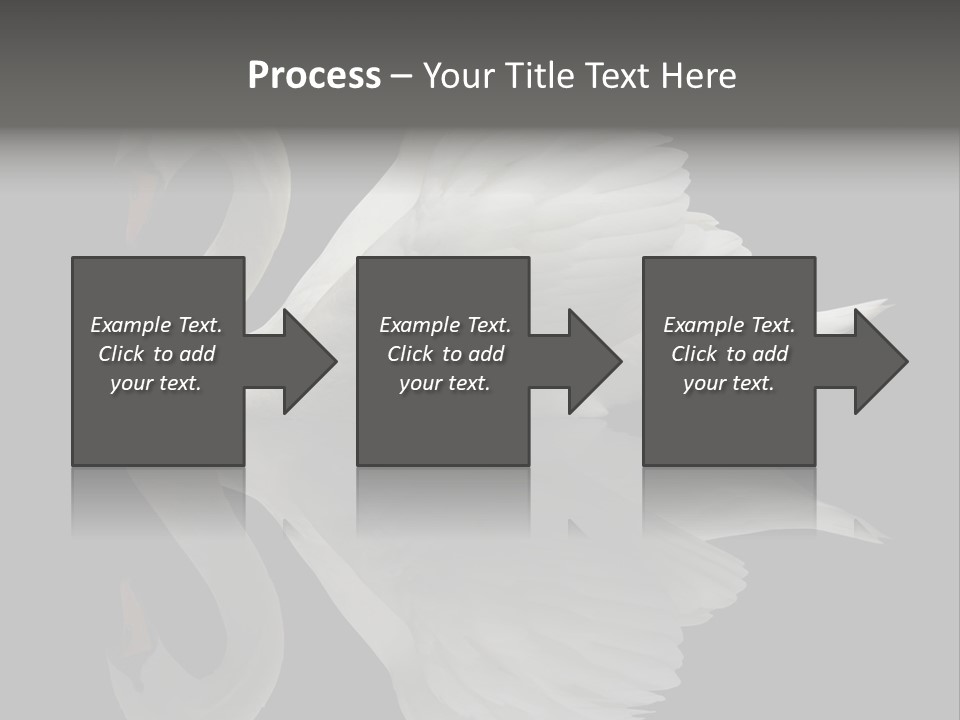 Nature Wildlife Aquatic PowerPoint Template