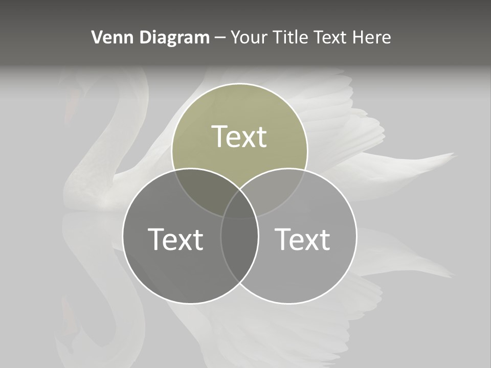 Nature Wildlife Aquatic PowerPoint Template