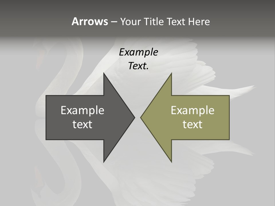 Nature Wildlife Aquatic PowerPoint Template