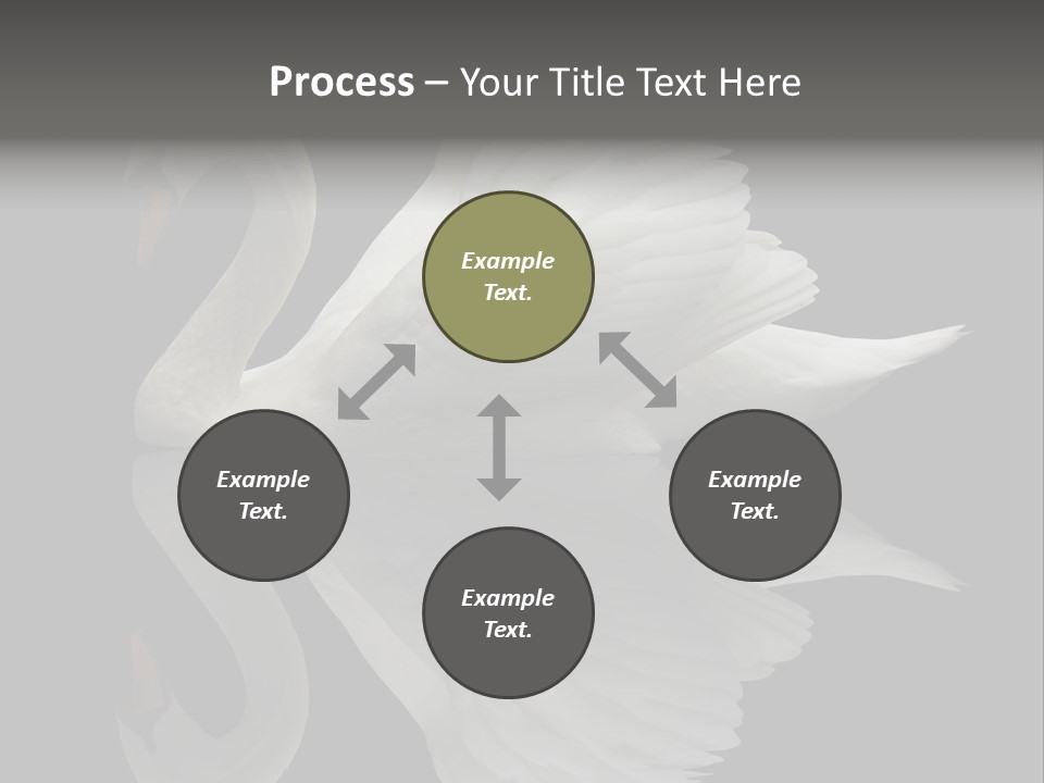 Nature Wildlife Aquatic PowerPoint Template