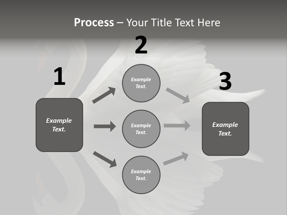 Nature Wildlife Aquatic PowerPoint Template