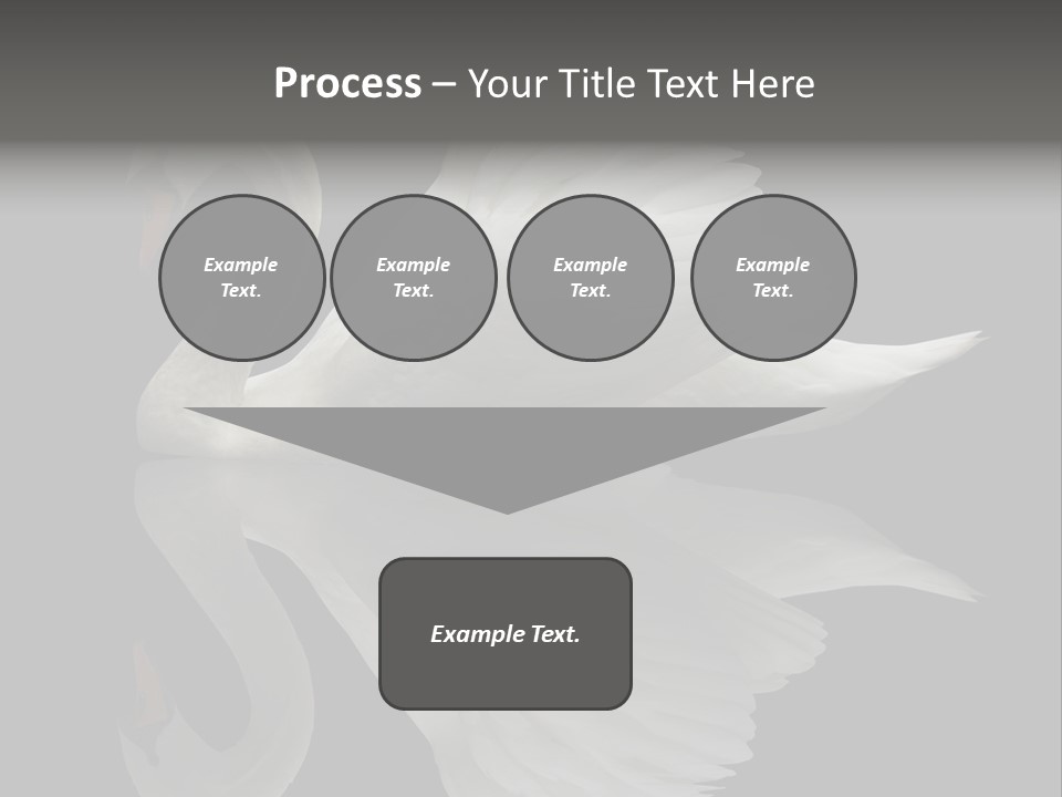 Nature Wildlife Aquatic PowerPoint Template