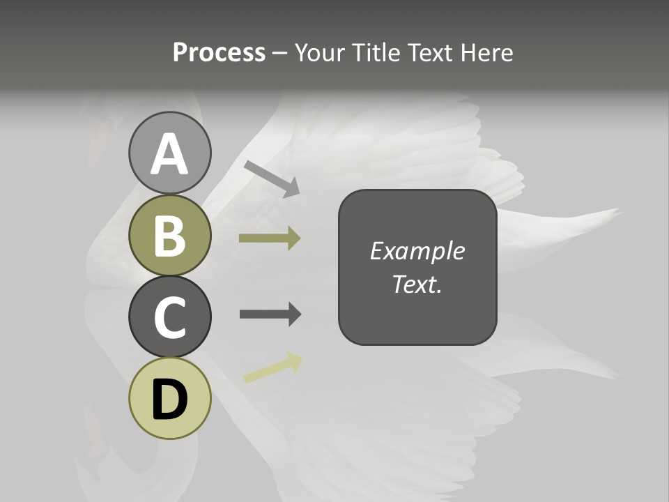 Nature Wildlife Aquatic PowerPoint Template