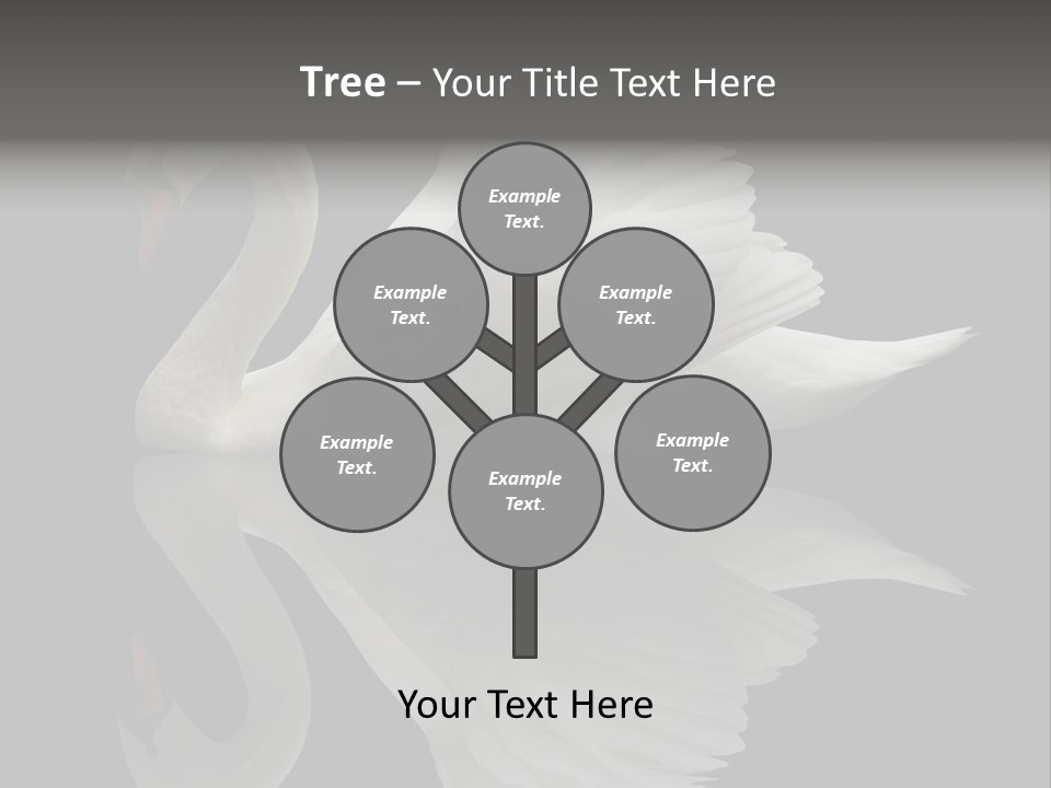 Nature Wildlife Aquatic PowerPoint Template