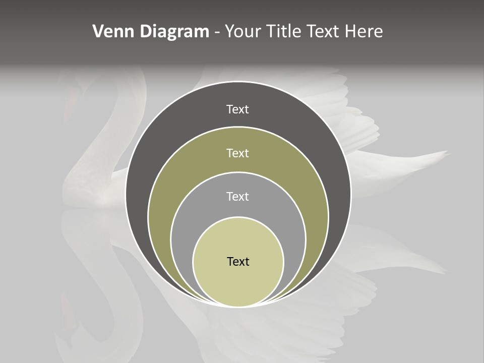 Nature Wildlife Aquatic PowerPoint Template