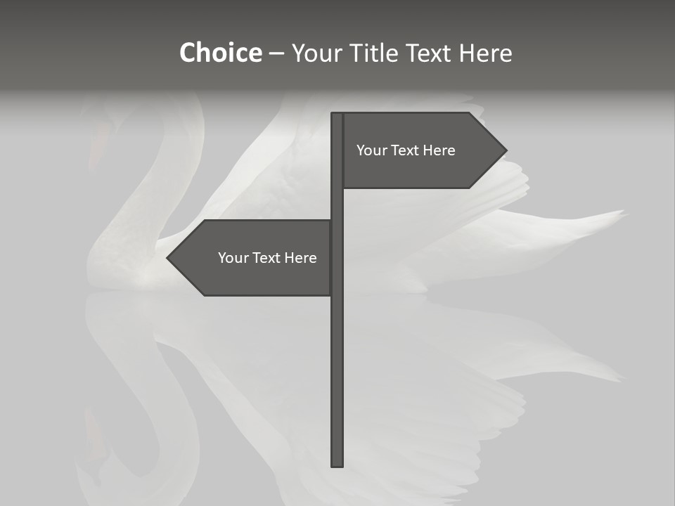 Nature Wildlife Aquatic PowerPoint Template