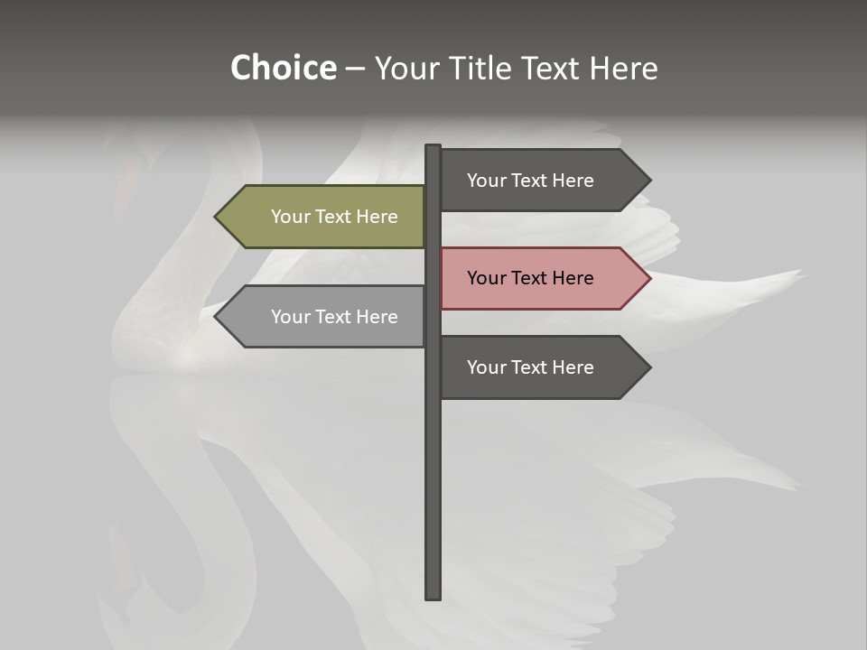 Nature Wildlife Aquatic PowerPoint Template