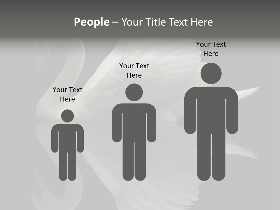 Nature Wildlife Aquatic PowerPoint Template