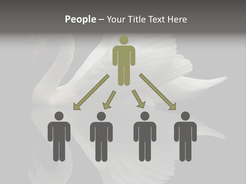 Nature Wildlife Aquatic PowerPoint Template