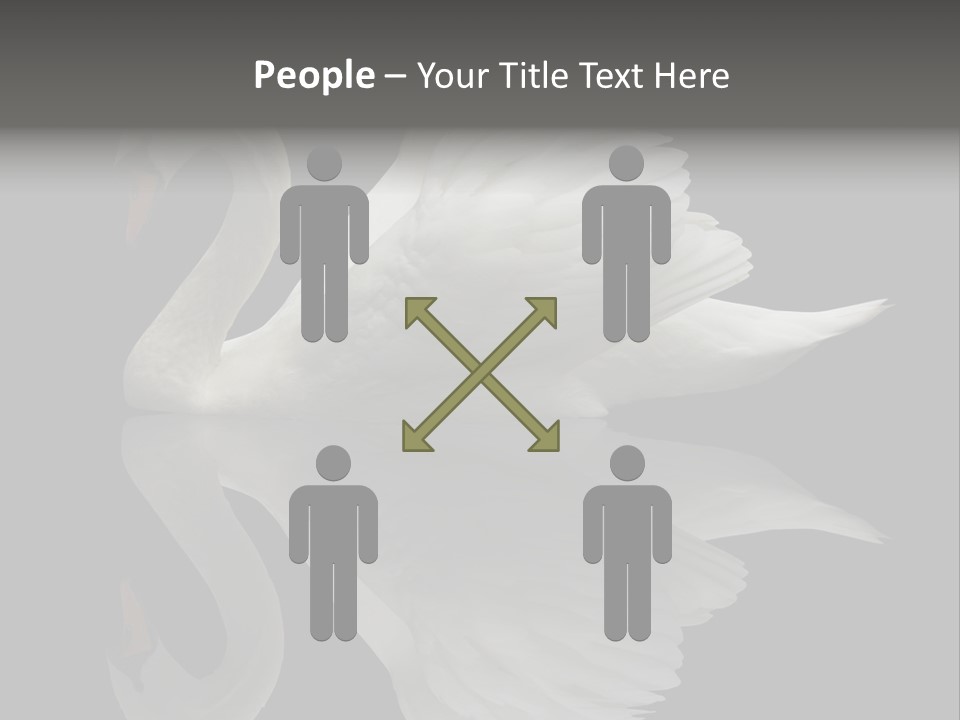 Nature Wildlife Aquatic PowerPoint Template