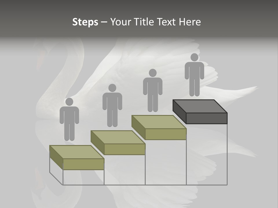 Nature Wildlife Aquatic PowerPoint Template