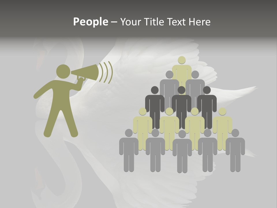 Nature Wildlife Aquatic PowerPoint Template