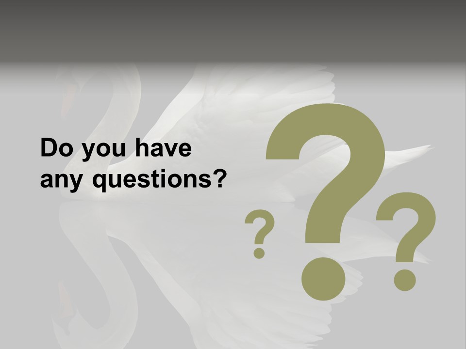 Nature Wildlife Aquatic PowerPoint Template