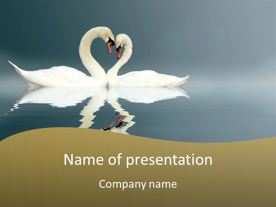 Birds Valentine Valnetines PowerPoint Template