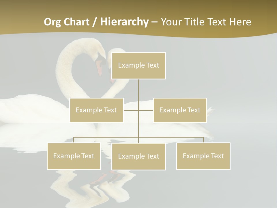 Birds Valentine Valnetines PowerPoint Template