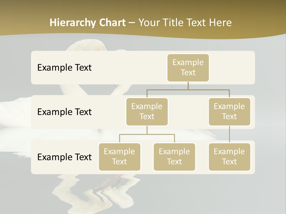 Birds Valentine Valnetines PowerPoint Template