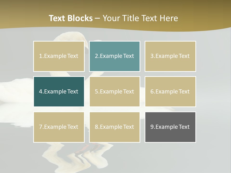 Birds Valentine Valnetines PowerPoint Template