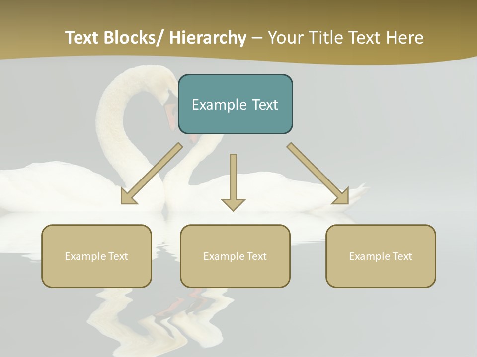 Birds Valentine Valnetines PowerPoint Template