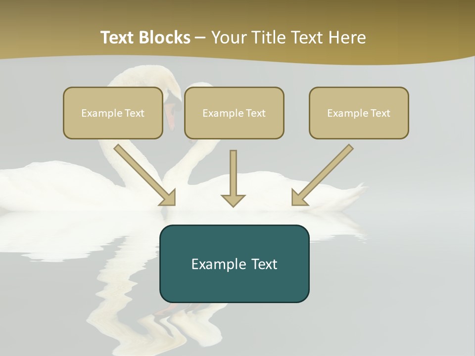 Birds Valentine Valnetines PowerPoint Template