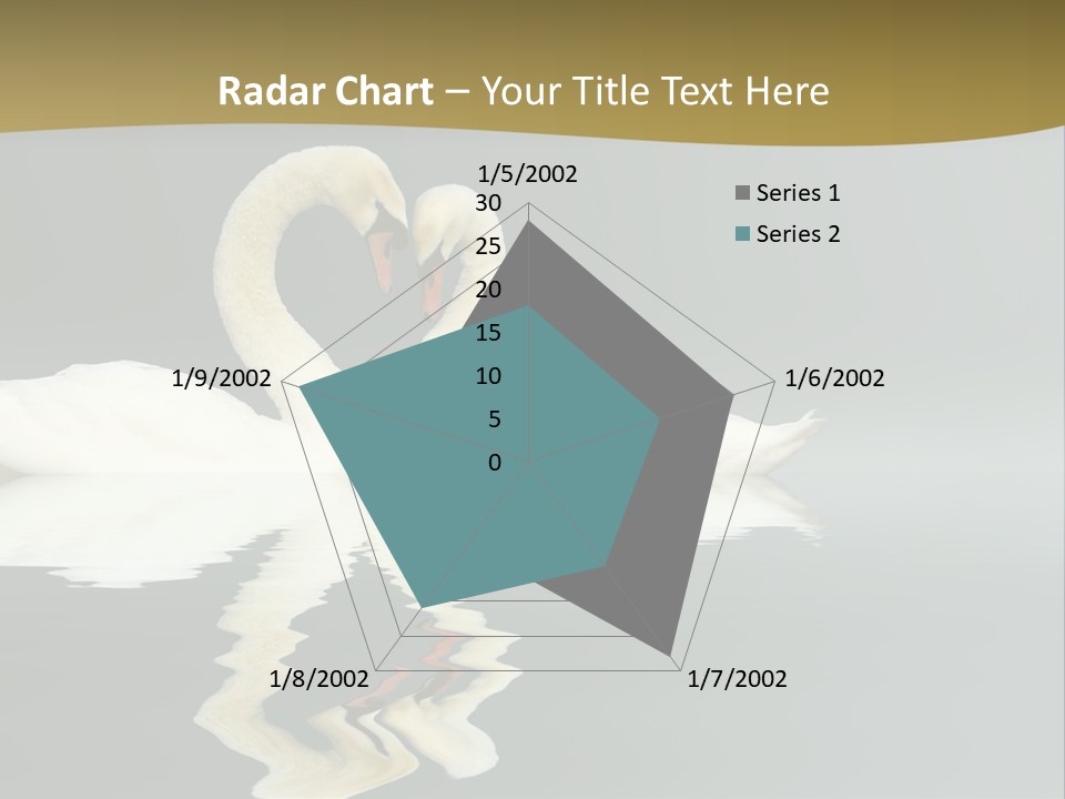 Birds Valentine Valnetines PowerPoint Template