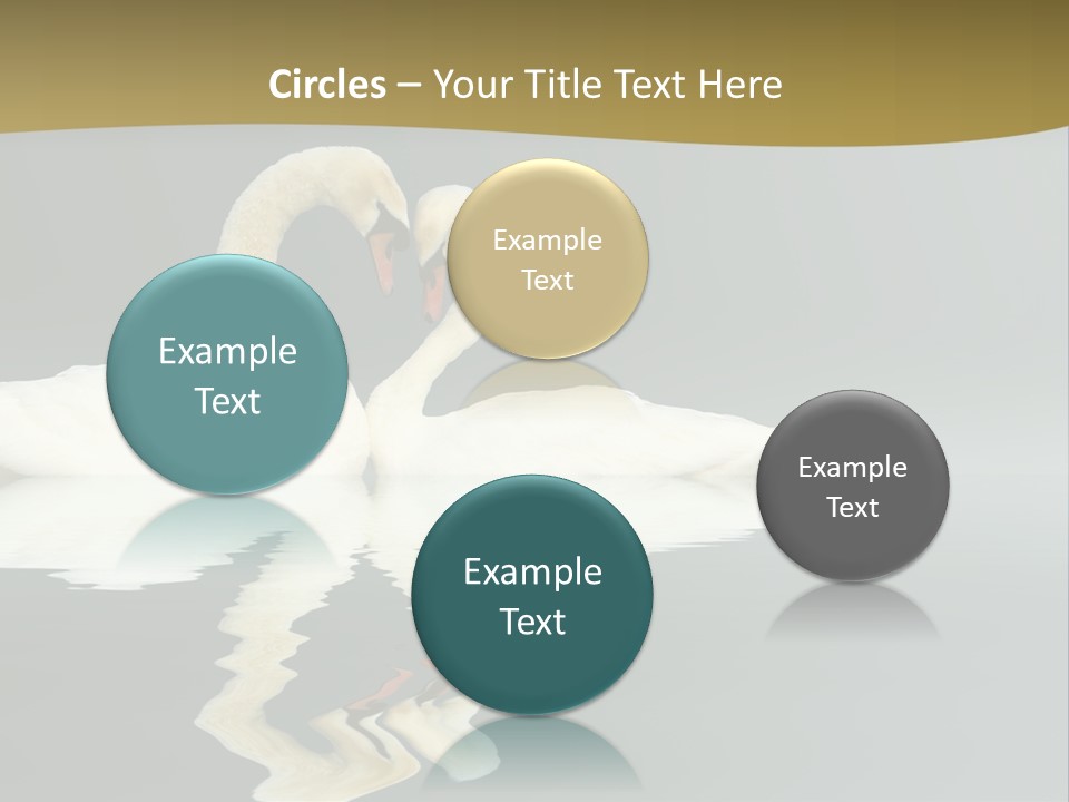 Birds Valentine Valnetines PowerPoint Template